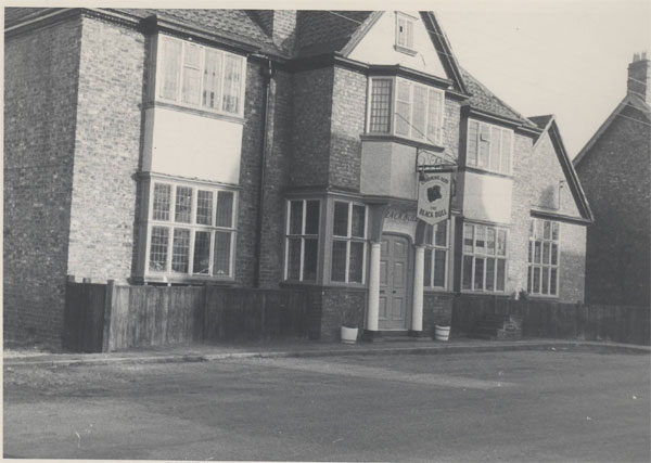 blackbull2